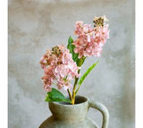 26" Pk Cone Hydrangea Stem
