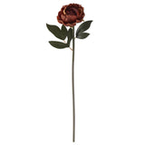 20" Inch Burgundy & Yellow Peony Stem