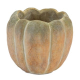 Pumpkin Container