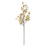 32 Inch Cream Hops Stem
