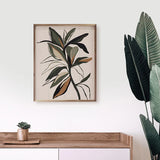 Black Boho 1 By Nataly White - 8x10