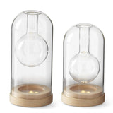 Clear Glass Led Cloche Bud Vases