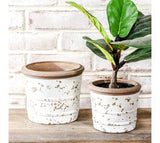 Vintage White Bucket Planters
