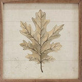 Oak Leaf Frame