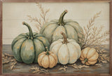 Pumpkins With Dried Leaves Frame