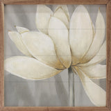 Golden Waterlily 1 By Carol Robinson 12x12