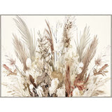 Pampas Harmony 36x48