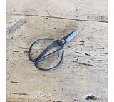 Plant Scissors