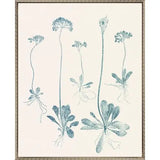 Floral Trace V