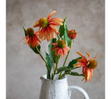 27" Orange Echinacea Bunch