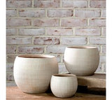 Round Check Design Planters