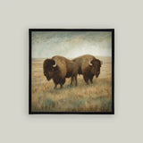 Bison Duo | 16x16