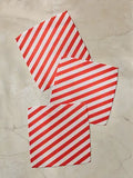 Peppermint Lane Dishcloth