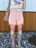 High Rise Distressed Shorts