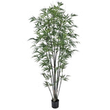 PTD. ZEN BAMBOO TREE X1065 6' KD