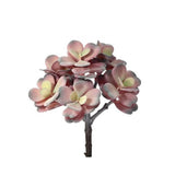 8" Pls Flocked Jade Plant