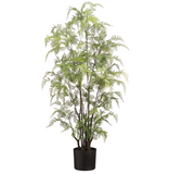 48" Lacy Leather Fern In Pot Gr