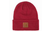 Classic Beanie W/Big Logo