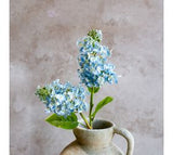 26" Bl Cone Hydrangea Stem
