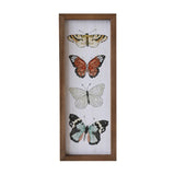 Butterfly Print In Wood Frame