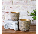Gold Stars Planter
