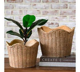 Basket Weave Cement Planters