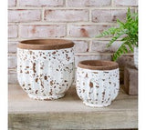 Vintage White Stripe Planters