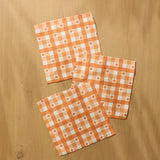 Pumpkin Check Dishcloth