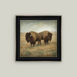Bison Duo | 6x6