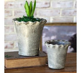 Ant. Charcoal Scalloped Edged Pots