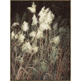 Moonlit Petals 40x50