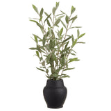 23" OLIVE IN CERAMIC VASE GR/GY