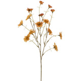 24" Primula Spray