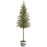 58" Cypress Tree In Cement Pot