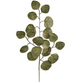 Eucalyptus Leaf Spray  Green Gold