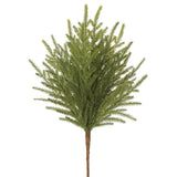 20" cypress Spray