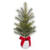13" Fir Tree In Cement Pot