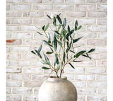 29.5" Single Olive Spray