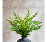 19" Fern Bush Stem