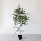 Round Faux Tree In Plastic Pot