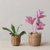 Hand-woven Rattan Scalloped Planters W Plastic Liners, Natural
