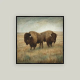 Bison Duo | 24x24