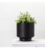 BLACK PLANTER