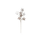 22"l Paper Glitter Pickstar Champagne