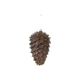 5 Round X 8-1/2h Resin Pinecone W Glitter, Brown